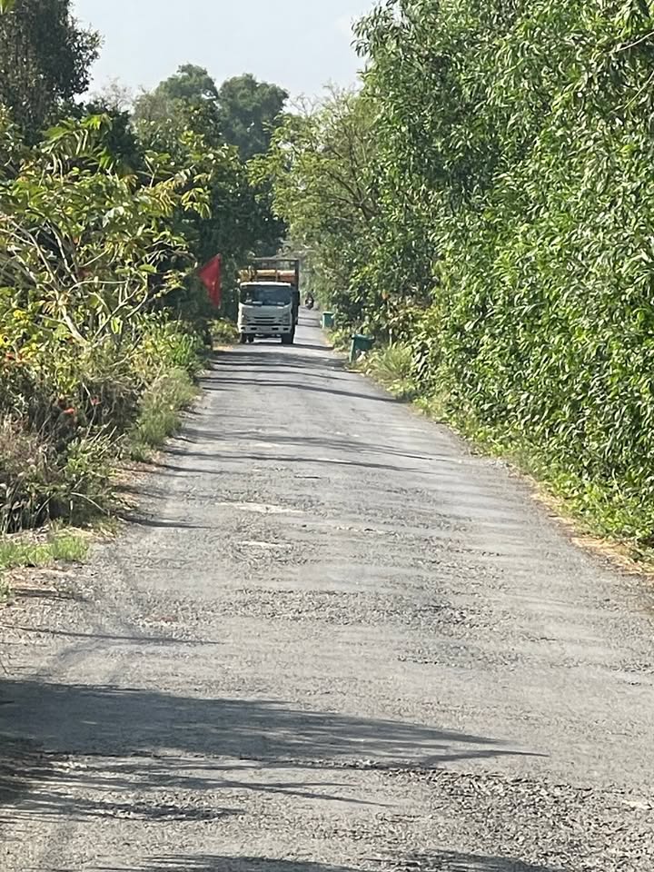 Bán Đất 82.000m² Tân Phước Đồng Tháp - 2 Mặt Tiền Sông Lớn, Giá Đầu Tư