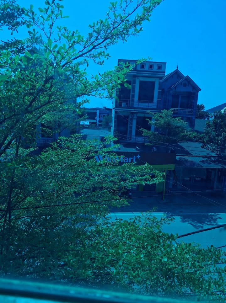 Đất Lục Nam 200m² - Sổ Đỏ Sẵn Sang Tên, Giá Tốt 800 Triệu