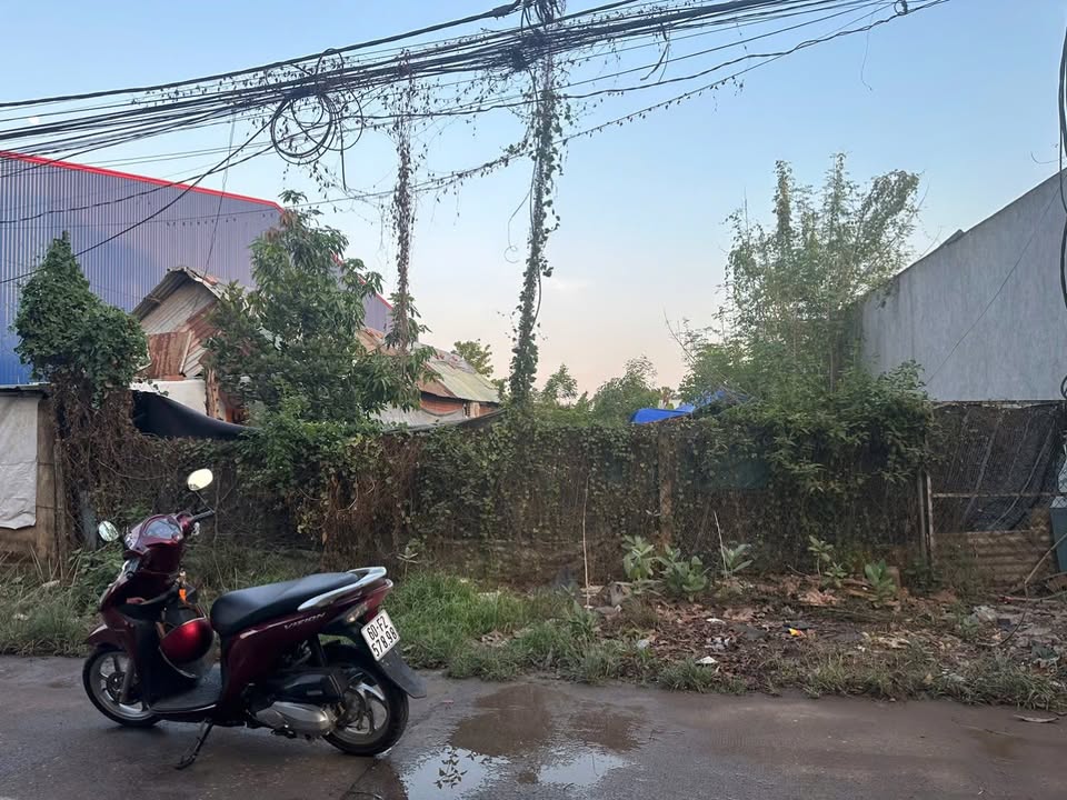 Đất Nền 550m² Sổ Hồng Thổ Cư - Ngay Tái Định Cư Cường Thuận, Biên Hòa