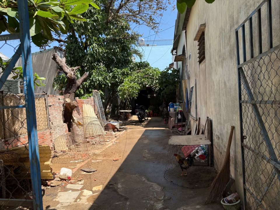 Bán Đất Đông Hòa Dĩ An 127m² - Sổ Hồng Riêng, Gần Làng Đại Học