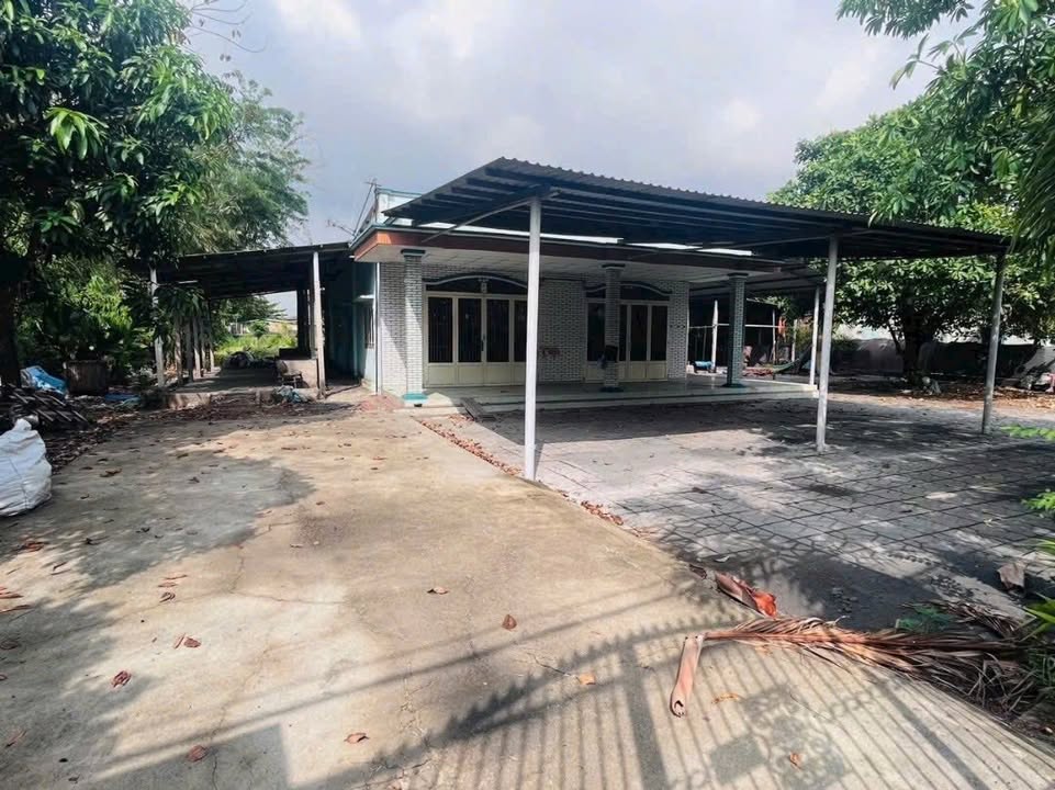 Đất nền Củ Chi 2533m² mặt tiền đường 236 - Sổ hồng thổ cư sẵn sàng