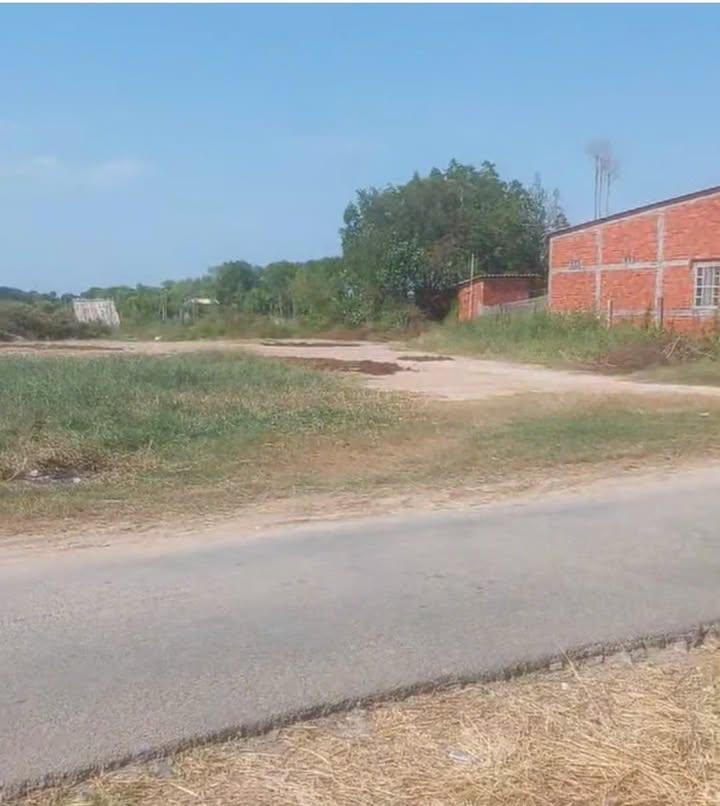 Bán Đất Mặt Tiền Lộ Nhựa Xã Bảo Thạnh, Ba Tri - 1293m² Giá 1.68 Tỷ