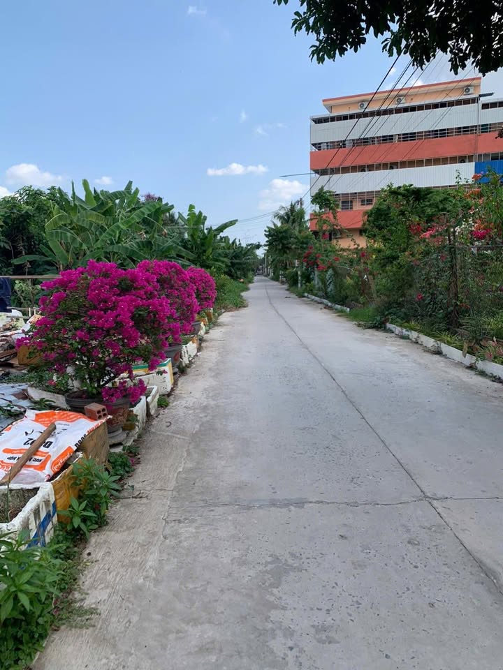 Bán Đất 1000m² Cần Thơ - Xây Biệt Thự/Kinh Doanh - 1X Tỷ