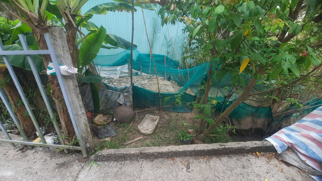 Đất Nền Giai Xuân, Phong Điền 54m² Giá 180 Triệu - Tặng Kho Tiền Chế