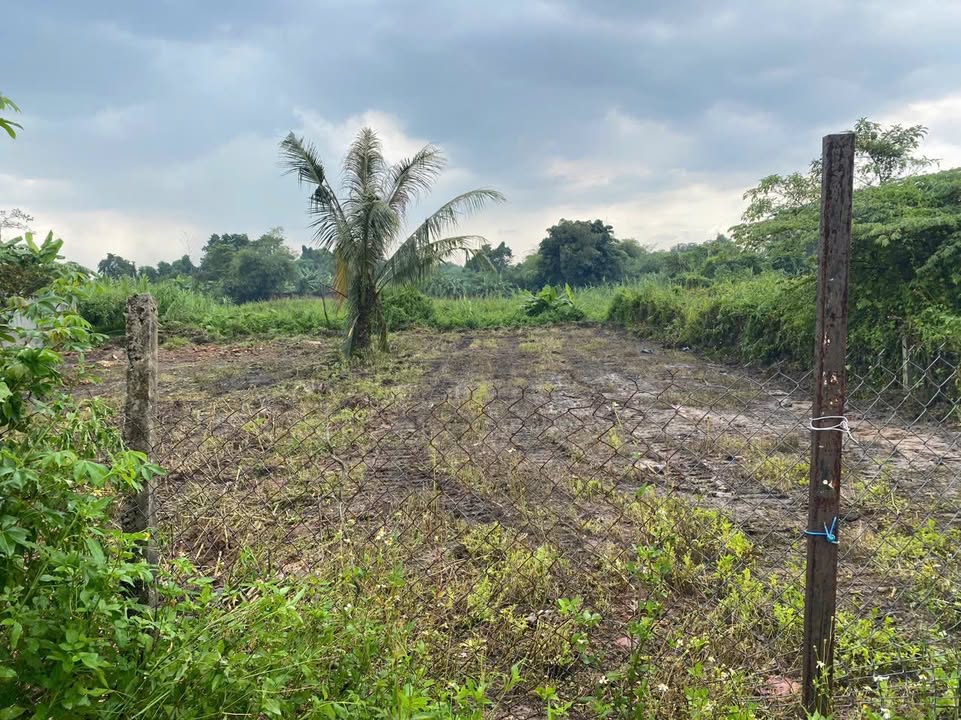 Đất Vườn 786m² Mặt Tiền 50m Sông Nhị Bình, Hóc Môn - Giá Tốt