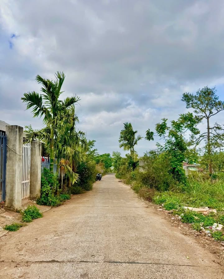 Đất nền Phường Tân Hòa, Buôn Ma Thuột 165m² - Giá tốt 990 triệu