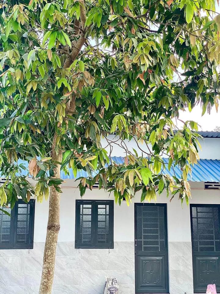 Cho thuê phòng trọ máy lạnh Phường 9, Vĩnh Long - 1.2 triệu/tháng