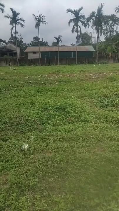 Bán Đất Xã Thanh Mỹ, TP Vinh 250m² - Hai Mặt Tiền Ô Tô, Giá 300 Triệu