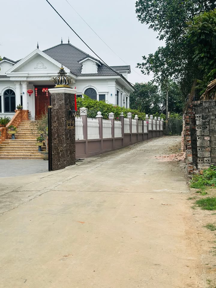 Đất Sổ Đỏ Ba Vì 300m² - Vị Trí Đắc Địa, Giá Chỉ 2 Tỷ