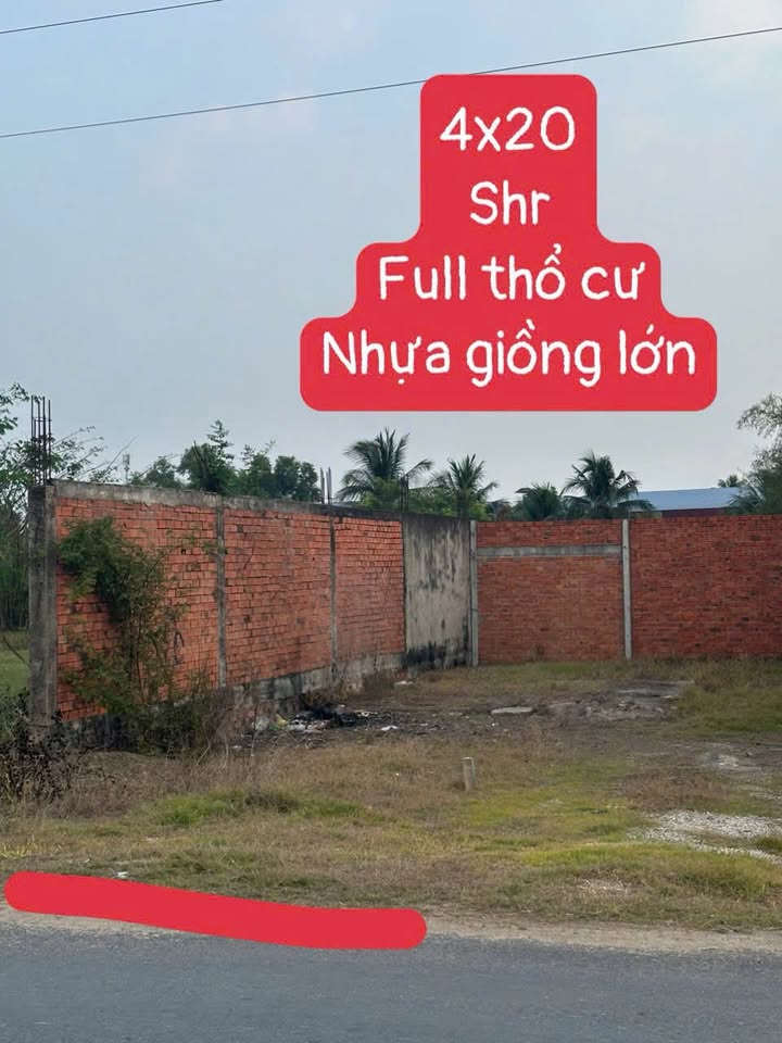 Mặt tiền kinh doanh Giồng Lớn, Quận 11 - 80m² giá 1.5 tỷ, Hướng Bắc