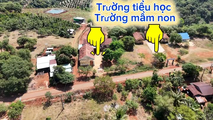 Bán Gấp 2ha Đất Vườn Sầu Riêng Thạnh Phú, Vĩnh Cửu - Giá Rẻ Hơn Thị Trường 30%