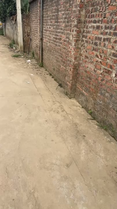 Đất Thạch Thất 1400m² - Sẵn Dãy Trọ & Nhà Ở Cho Thuê