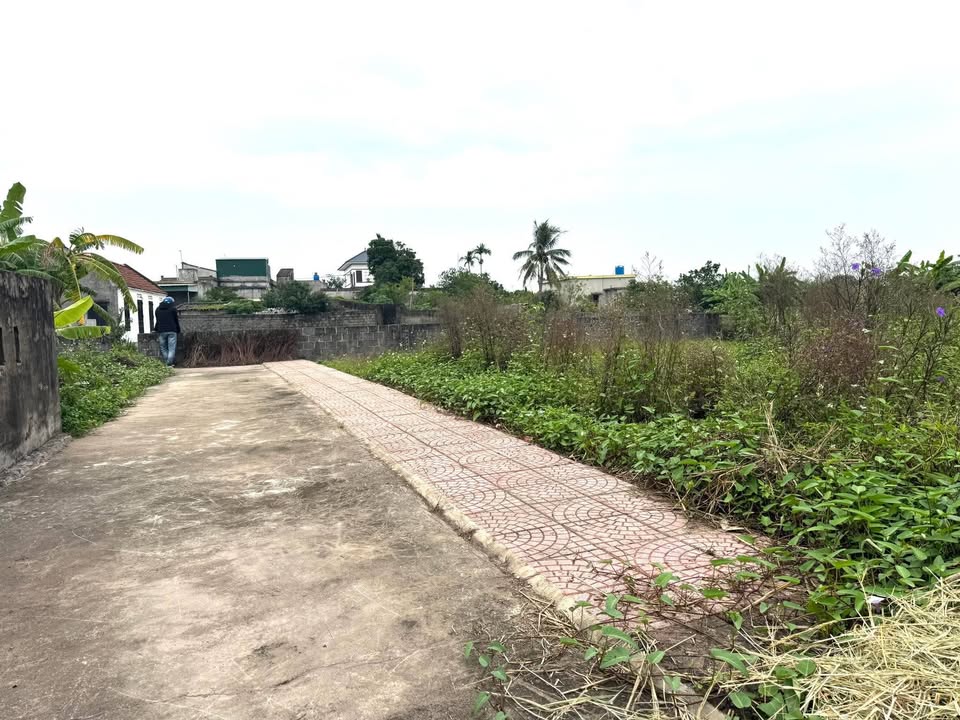 Bán gấp đất nền Nam Hải, Tiền Hải 113m² - Sổ đỏ sẵn sàng