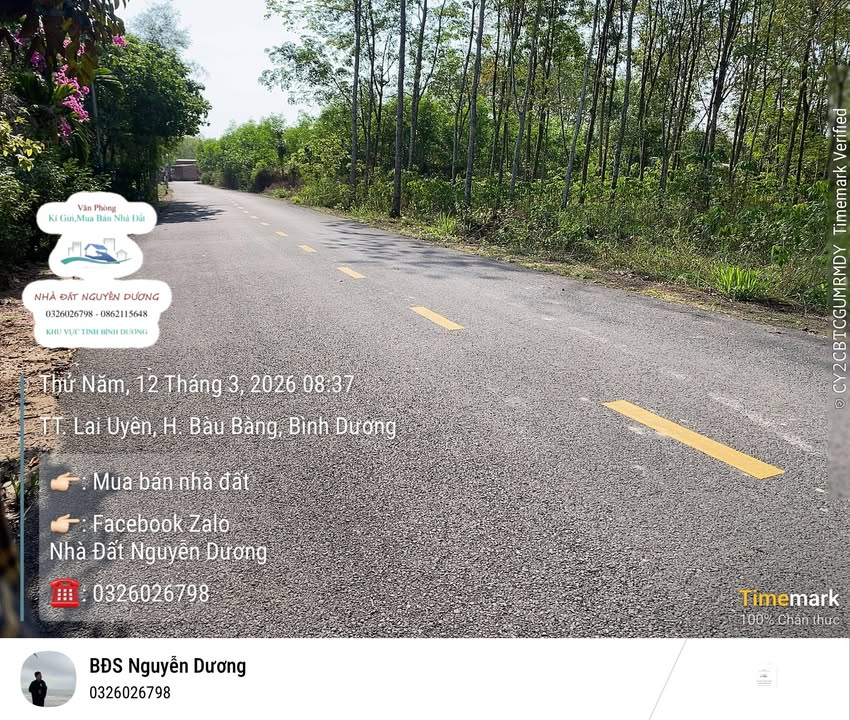 Bán Đất Lai Uyên Bàu Bàng 420m² - Gần Chợ, Dân Đông, Đường Nhựa