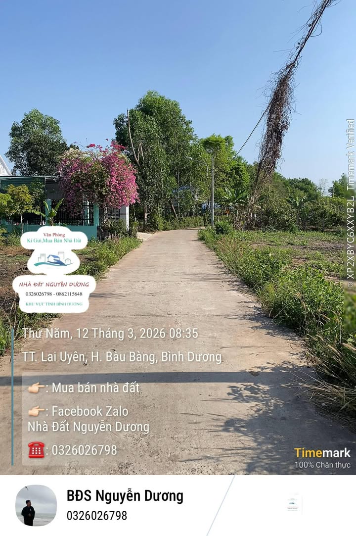 Bán Đất Nền Đường 07 Lai Uyên, Bàu Bàng - 186m² Giá 9xx Triệu