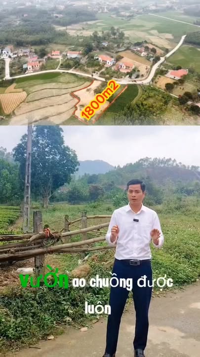 Đất nghỉ dưỡng Vĩnh Phúc 1086m² - View đồng, Sổ hồng sẵn, Giá 3.2 tỷ