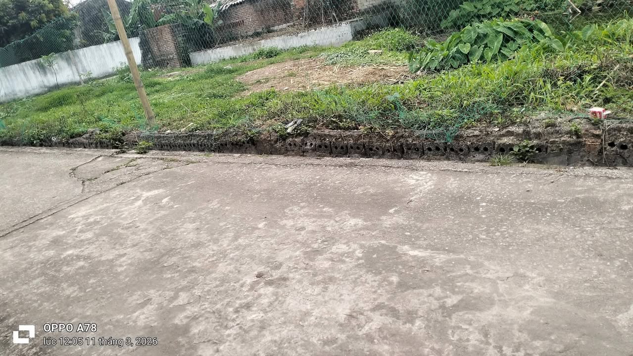 Đất Nền Phú Lộc, Hậu Lộc 150m² - Giá 8xx Triệu, Sổ Đỏ Sẵn Sàng