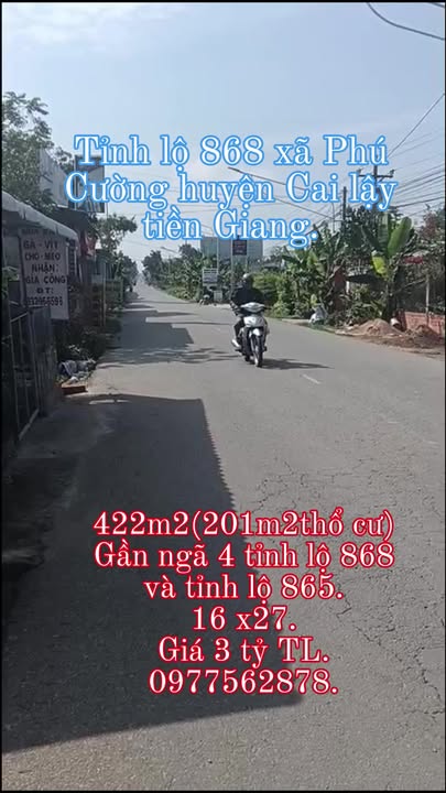 Đất Mặt Tiền Tỉnh Lộ 868, Tiền Giang - 422m² Kinh Doanh Đa Ngành