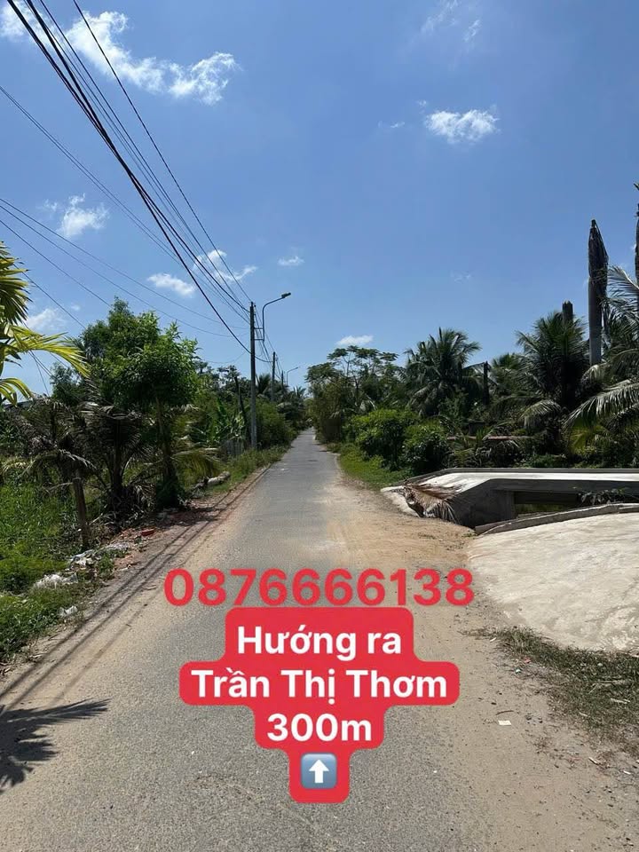 Đất Nền Mặt Tiền Nhựa N5 Mỹ Phong, Mỹ Tho - 177m² Thổ Cư, Giá 1.05 Tỷ