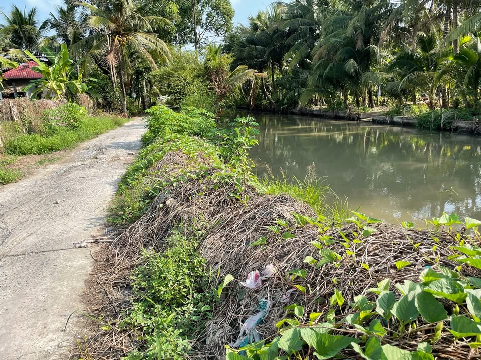 Bán Đất Vườn Hậu Giang 702m² Giá 700 Triệu - Gần Chợ Kinh Cùng