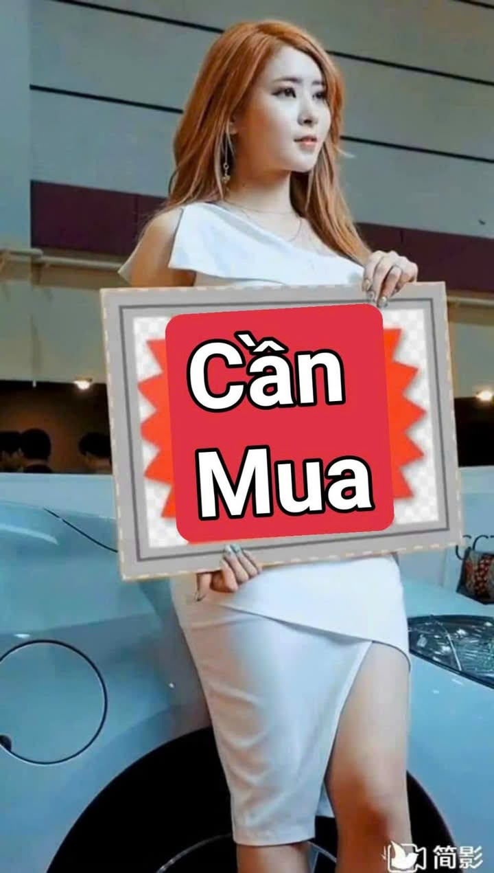 Bán Đất Tuyến Tránh Bình Đức Bến Tre 1000m² - Cơ Hội Đầu Tư Hấp Dẫn