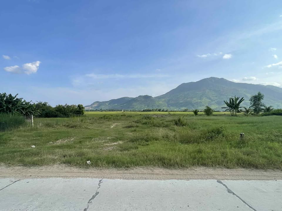 Bán Đất Mặt Tiền Đường Lớn Cam Ranh 303m² - Giá 750 Triệu