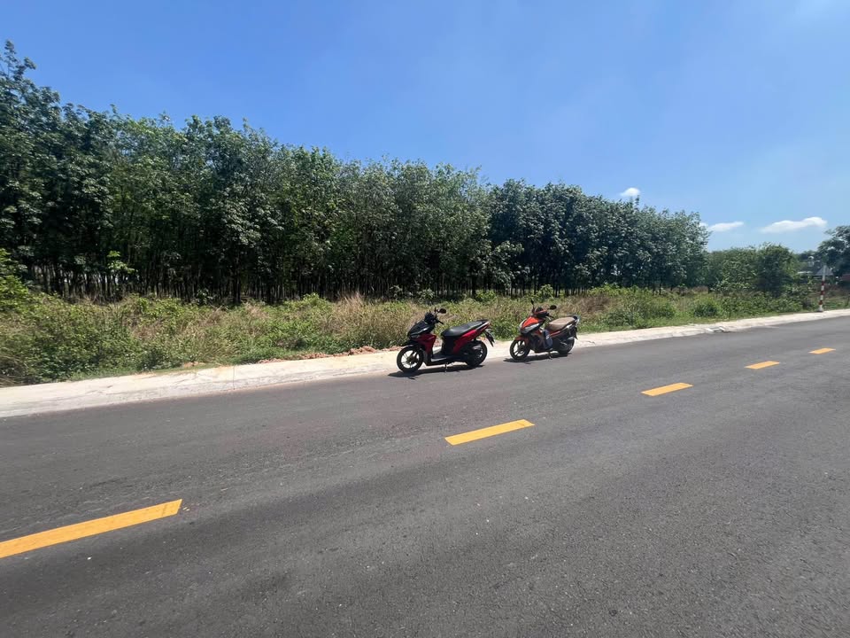 Mặt Tiền Chánh Phú Hòa, Bàu Bàng - 140m² Kinh Doanh/Ở Ngay