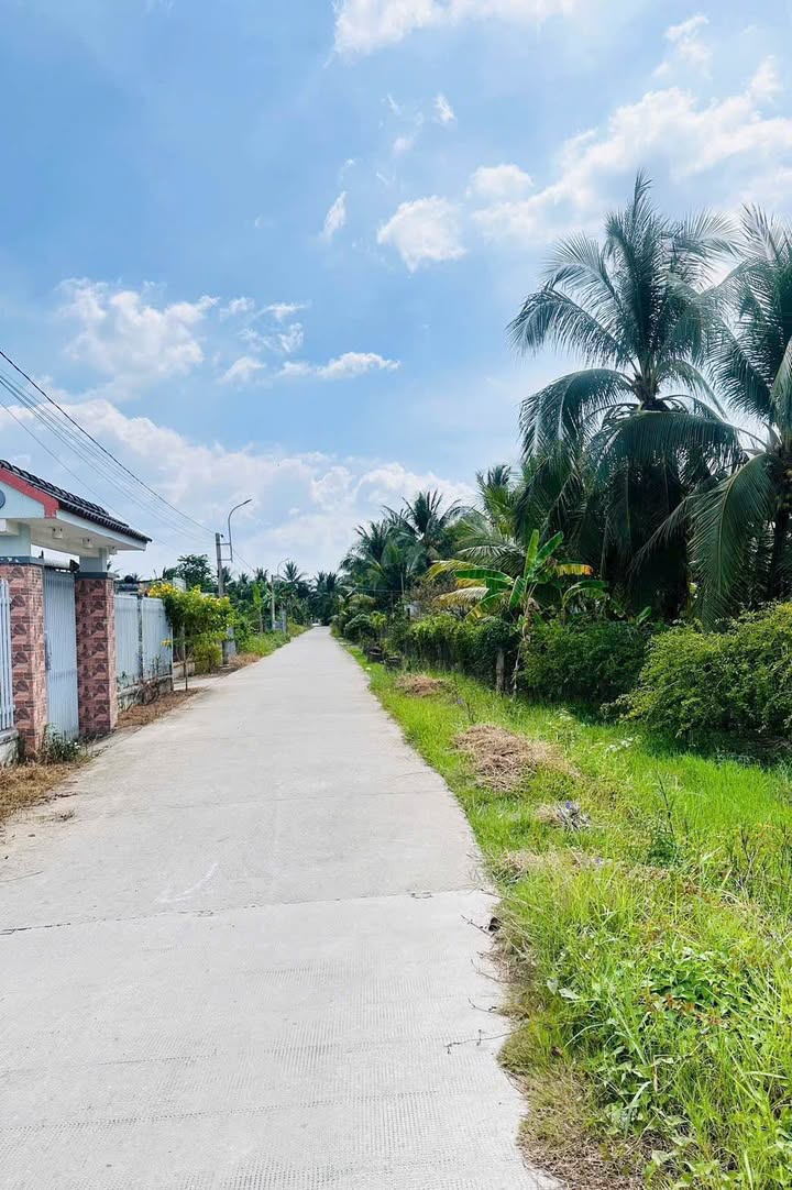 Đất Vườn Nghỉ Dưỡng 1279m² Bến Tre - Giá 2.6 Tỷ