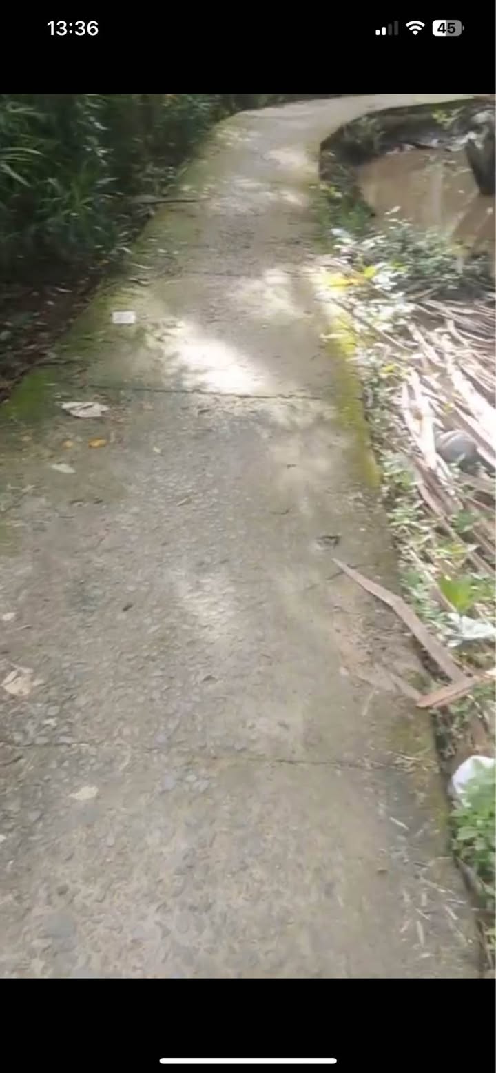 Đất Nền Tân Hội Mỏ Cày Nam Bến Tre 625m² - Sổ Đỏ Sẵn Sàng