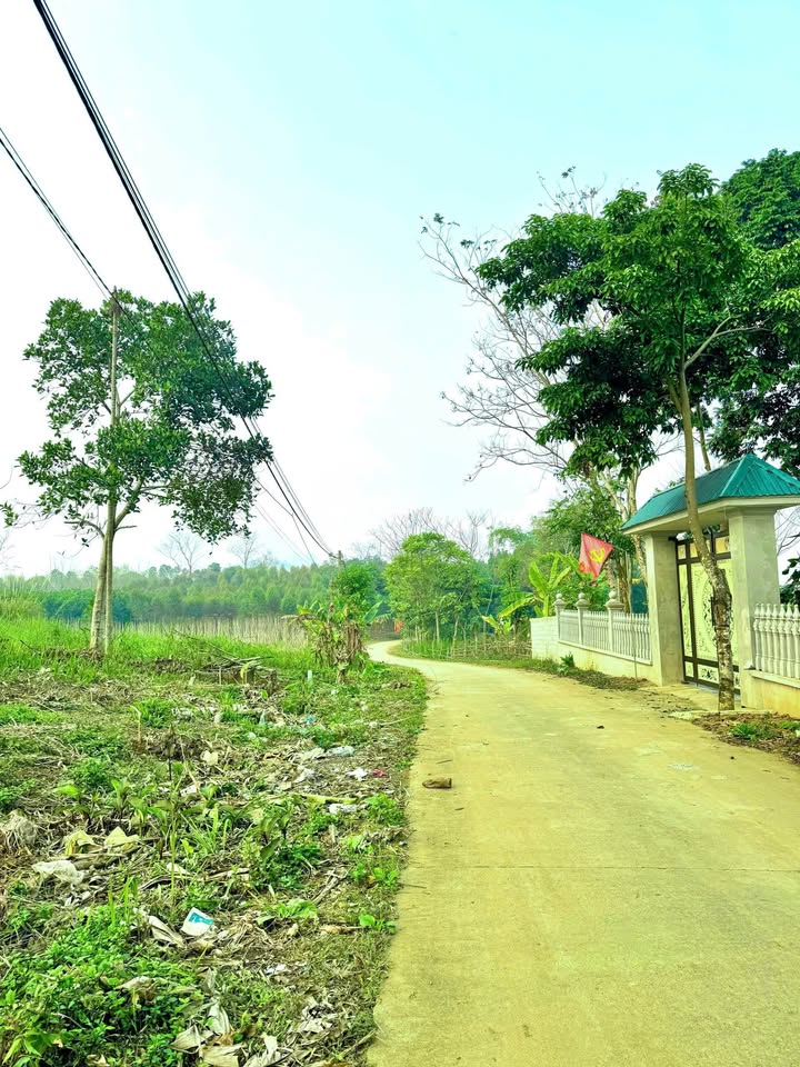 Bán Đất Vườn 7000m² Hào Lý, Hòa Bình - Gần KCN, Sẵn Sàng Đầu Tư