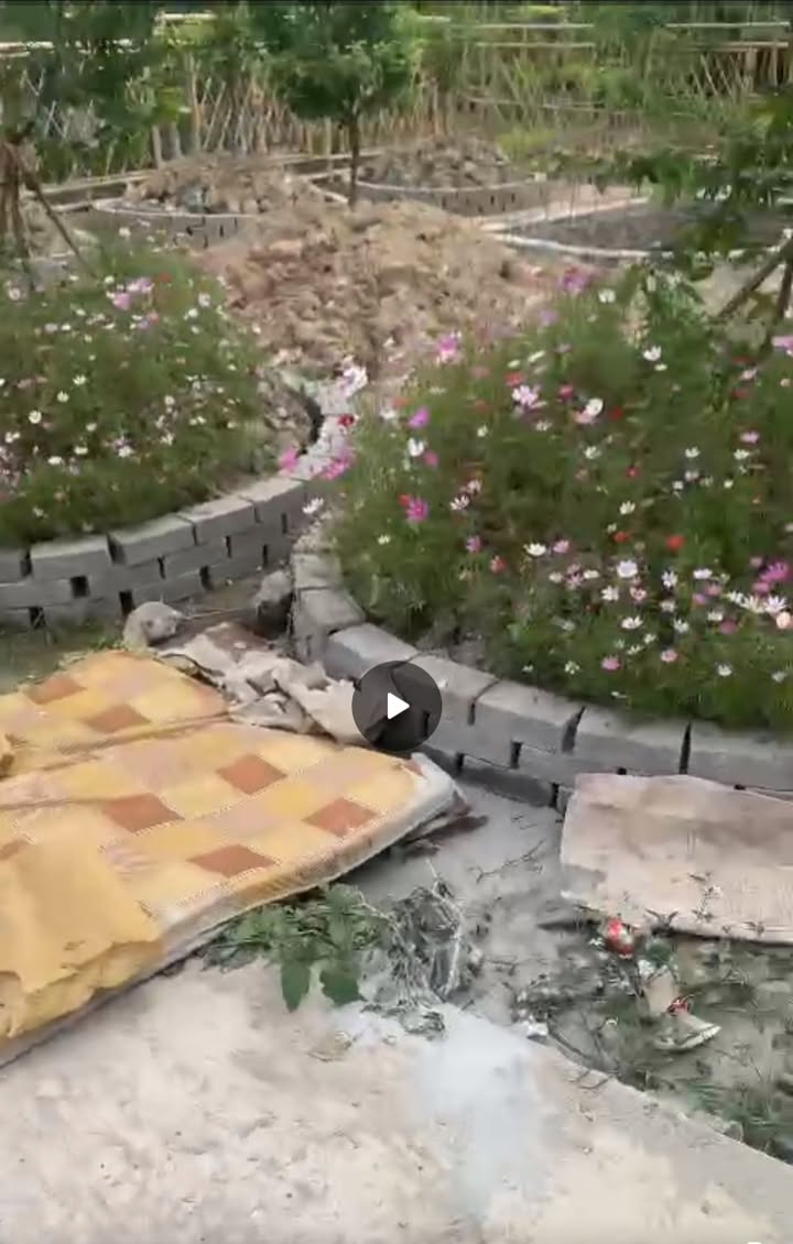 Đất Vườn 400m² An Lão, Hải Phòng - Sẵn Sàng Xây Nhà Xinh Hoặc Đầu Tư