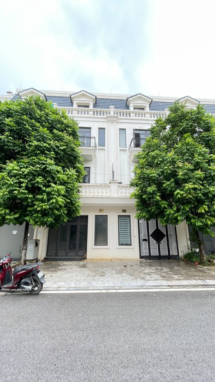 Nhà Phố Mặt Tiền 36m Tố Hữu, Thanh Hóa 65m² Giá Dưới 5 Tỷ - Kinh Doanh Đỉnh Cao