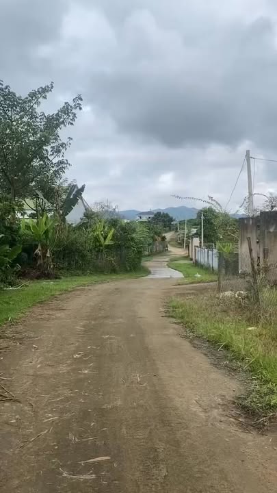 Đất Vườn Nghỉ Dưỡng Bảo Lộc 2000m² - Sổ Riêng, Giá 2 Tỷ