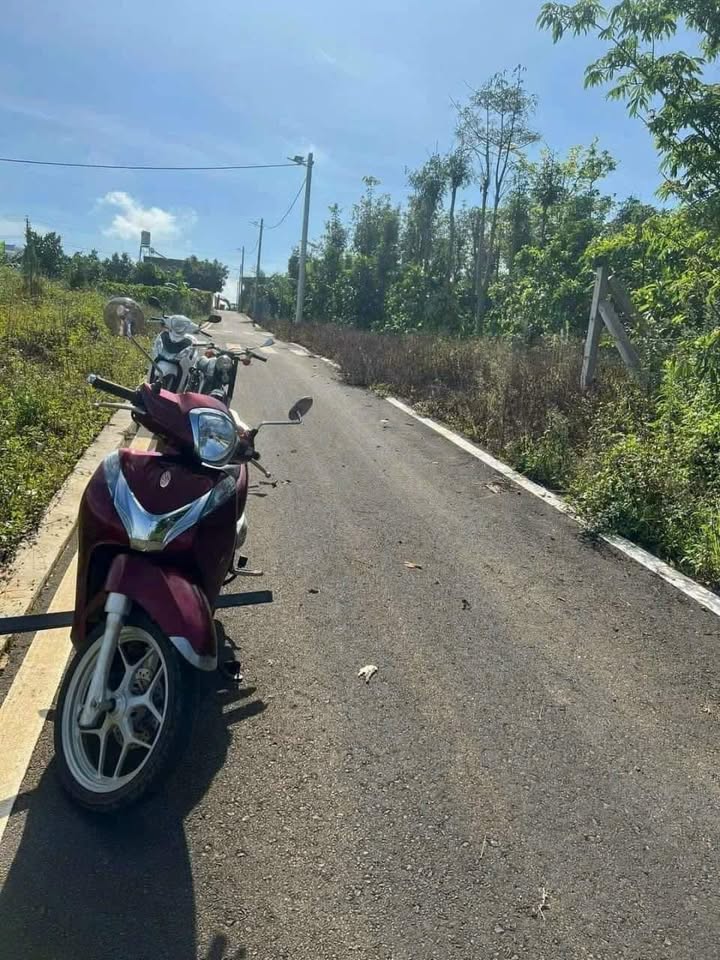 Bán Gấp Đất Thổ Cư Lâm Hà 115m² - Giá Sốc 450 Triệu