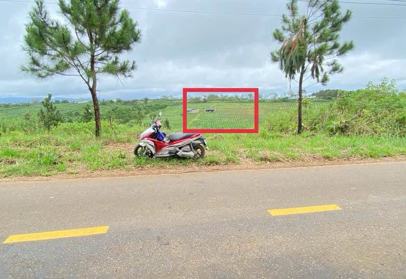 Bán đất Bảo Lộc 100m² giá 2.2 tỷ, sát Lâu đài trắng, Lối lên Cao tốc