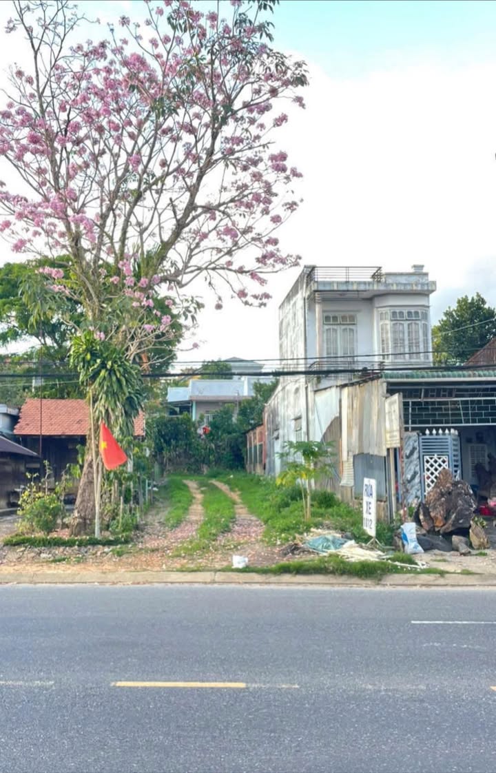 Bán Đất MT QL20 Bảo Lộc 180m² Full Thổ Cư - Kinh Doanh Đa Ngành