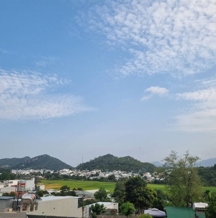 Đất Nền Mai Thị Dõng, Thái Bình 118m² - Sổ Đỏ Rõ Ràng, Giá Tốt