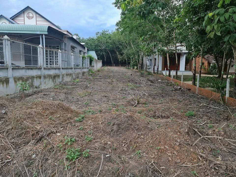 Đất Nền Mặt Tiền Bến Sạn, Phú Giáo - 650m² Sổ Đỏ, Giá 2.75 Tỷ