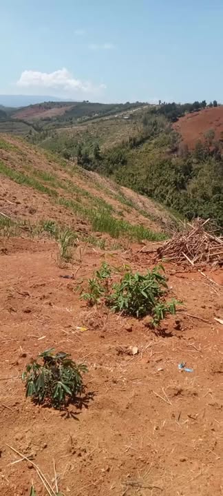 Bán 17.000m² Đất Nông Nghiệp Huyện Tuy Đức, Đắk Nông - Giá 1.7 Tỷ