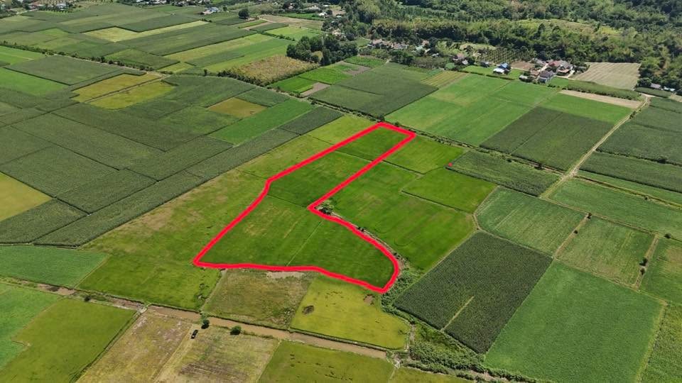 Bán Đất Ruộng 13.000m² Xã Đắc Lua, Tân Phú - Giá Đầu Tư 8.45 Tỷ