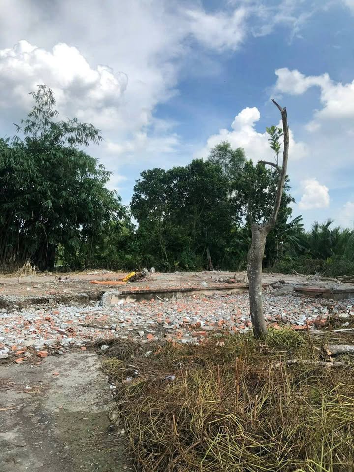 Đất nền 819m² Lạc Tấn, Tân Trụ - Sổ sẵn, Giá 1 tỷ - Vị trí đắc địa