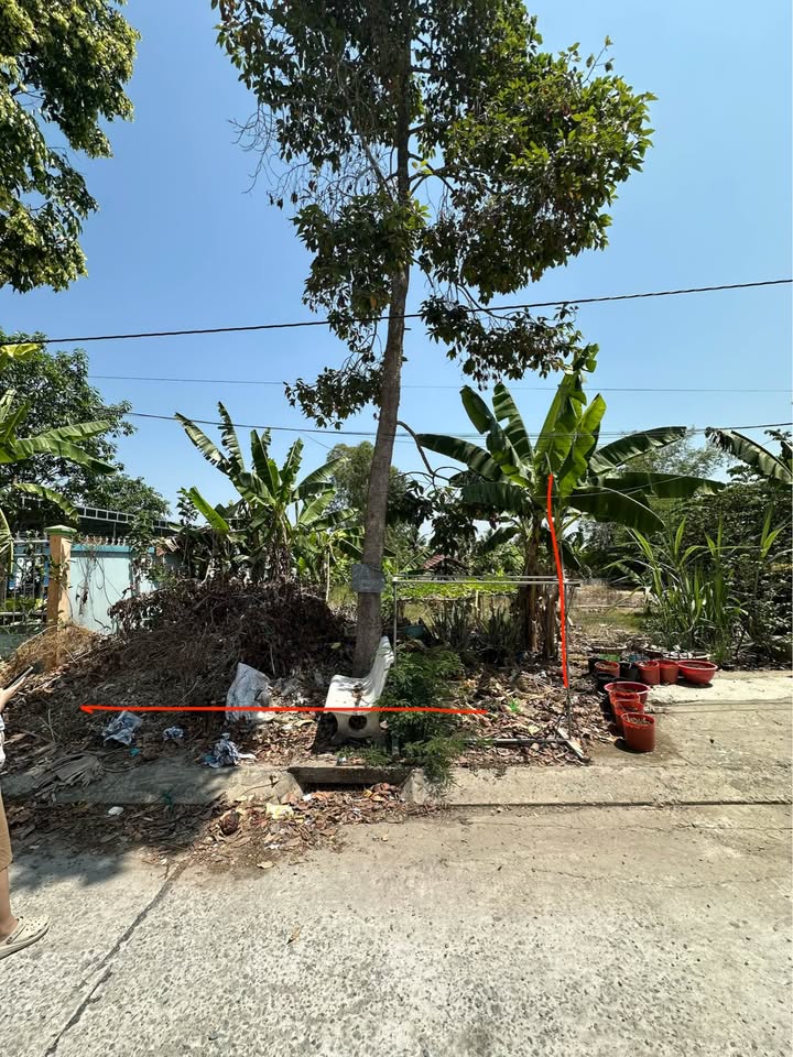 Đất Thổ Cư Vĩnh Hưng, Long An 110m² Sổ Hồng - Giá 425 Triệu