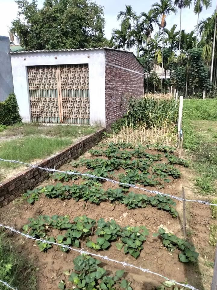 Đất Nền Hướng Tây 150m² Giá 6xx Triệu Tại Tư Nghĩa, Quảng Ngãi