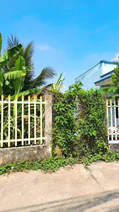 Bán Gấp Đất Nền 300m² Thuận Thành, Cần Giuộc - Giảm 300 Triệu, Giá Chỉ 1.55 Tỷ