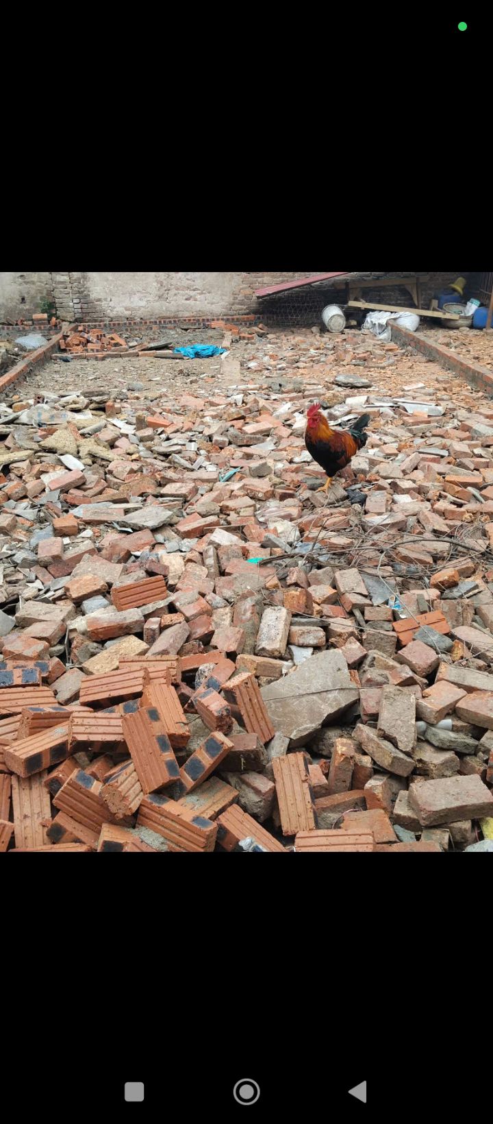 Bán đất Từ Sơn 43m² - Sổ hồng full cư, giá 920 triệu - Gần trường học, chợ