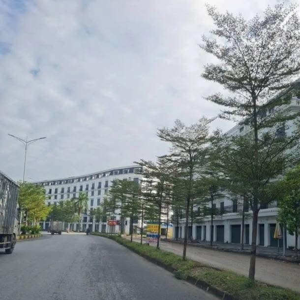 Shophouse Cát Tường 80m² - 6 Tầng Kinh Doanh Đắc Lộc