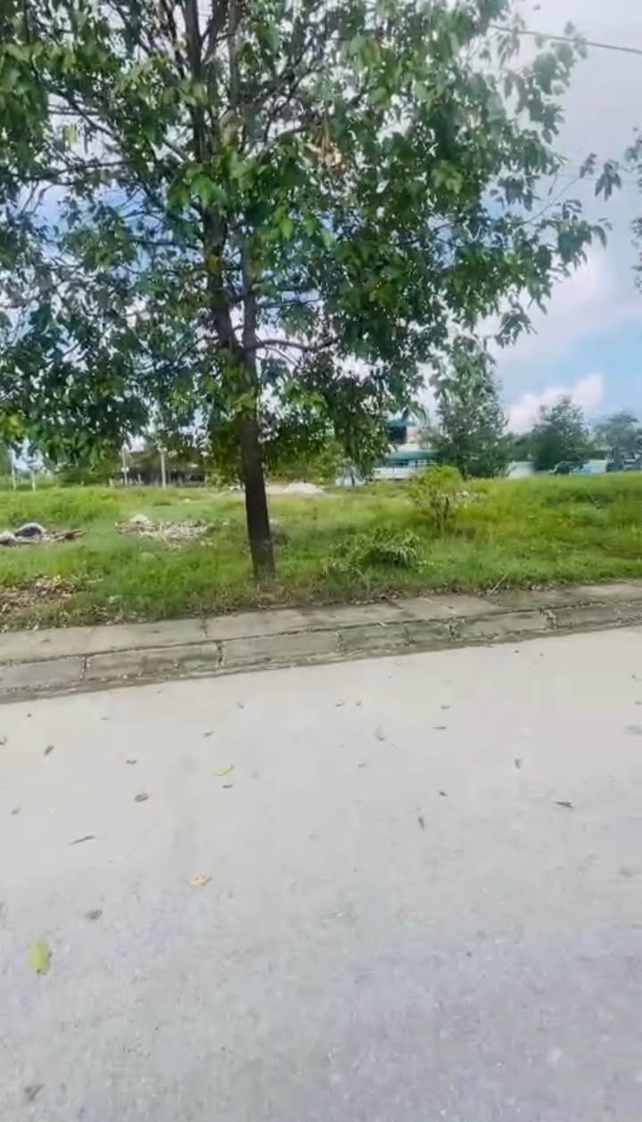 Bán Đất Quảng Hưng 81m² - Sổ Đỏ Chính Chủ, Ô Tô Tránh