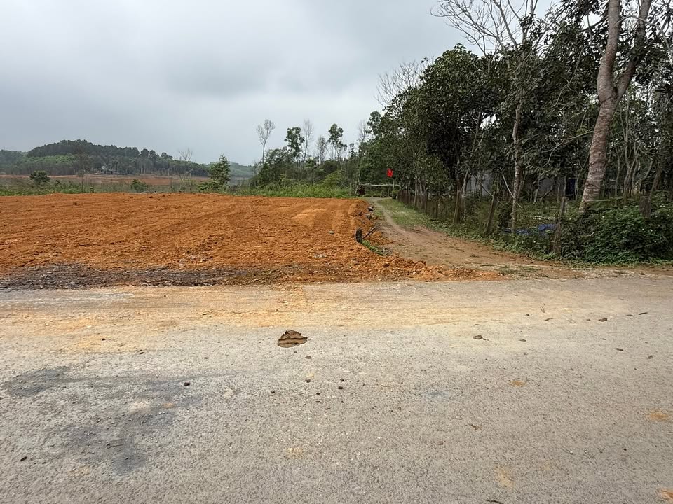 Mặt Tiền Phạm Đình Ban - Hương Khê - 175m² Kinh Doanh Đắc Lợi