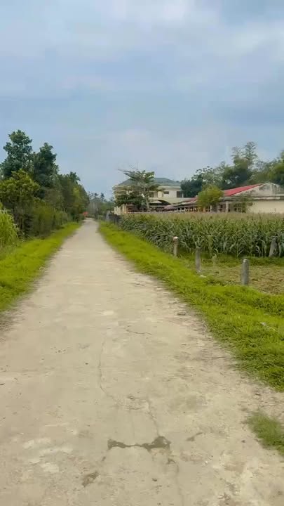 Đất thổ cư Hương Khê 220m² giá chỉ từ 350 triệu - Sổ đỏ sẵn sàng