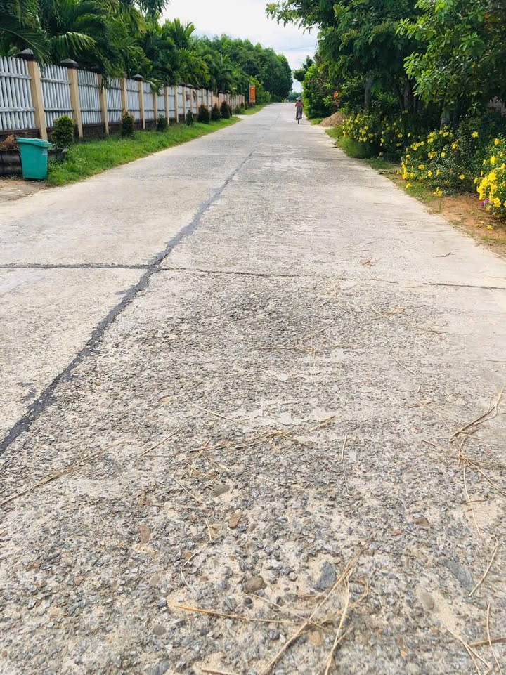 Đất nền DH8 Tam Thái 185m² - Hướng Bắc mát mẻ, giá chỉ 7xx triệu